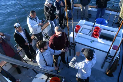 DSC_6561 (Large).JPG